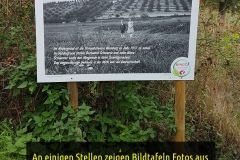 Foto-26.09.21-18-01-40